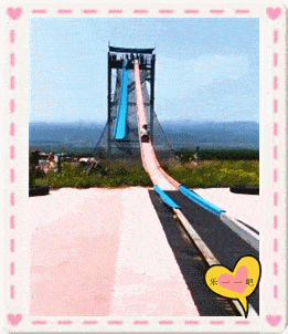 搞笑gif:两个武林高手的巅峰对决,太逗了