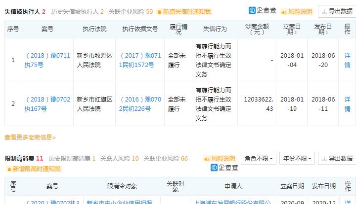 河南新乡市政府旗下一控股公司股权被"甩卖":评估近千万,43.