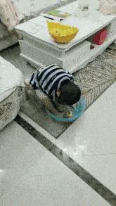 搞笑gif动图:小香猪的人生,和你的人生