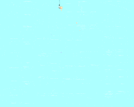 提竿不是越快越好,要学会放口和准确抓口_信号