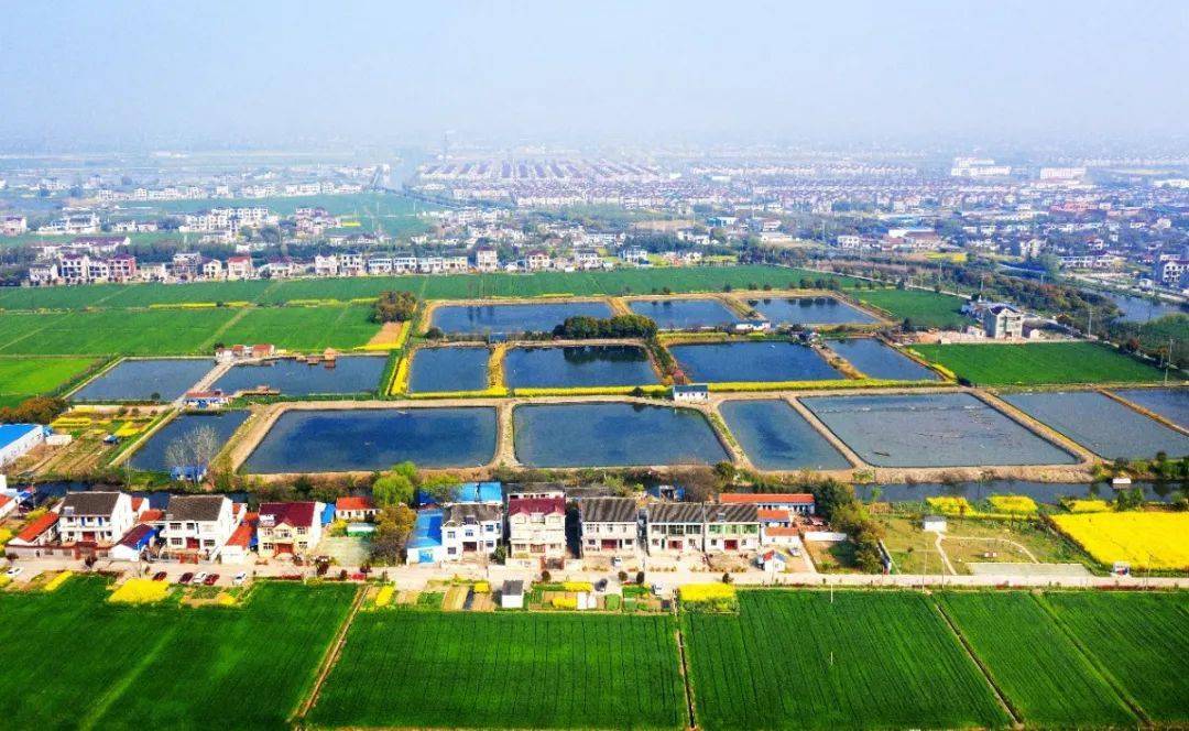 刚刚发布!太仓全新住宅调整公示,这个区域将迎新突破_项目