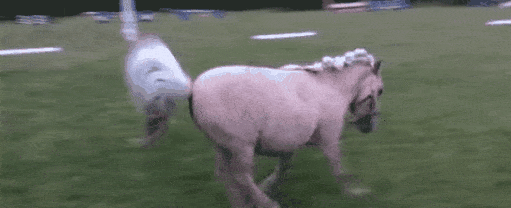 旋转跳跃我闭着眼