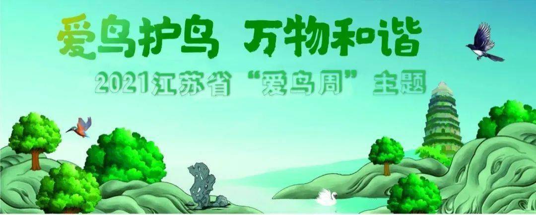 每年的 4月20日-4月26日是江苏省的 "爱鸟周",今年爱鸟周的主题是"爱
