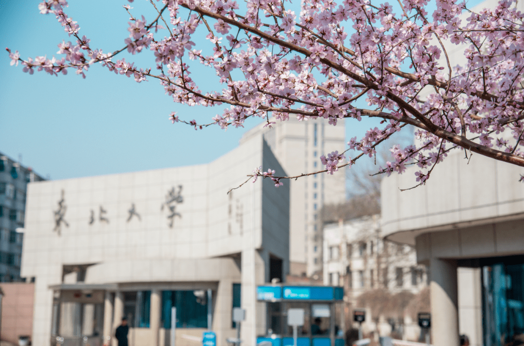 东北大学,为什么这么牛?_东大