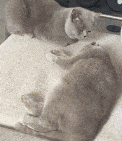 托马斯360度全旋 精选内涵段子 1.