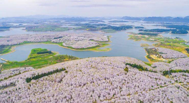 贵安新区高峰镇:农旅融合打造全域全季特色小镇