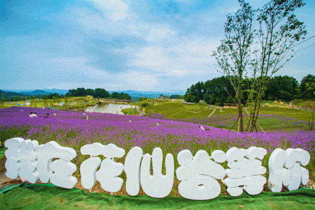 打卡巴渝美景4月28日1000直播打卡横山花仙谷门票免费送