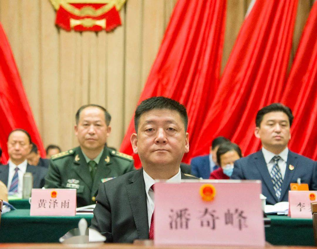 大会由主席团常务主席,大会执行主席潘奇峰主持.