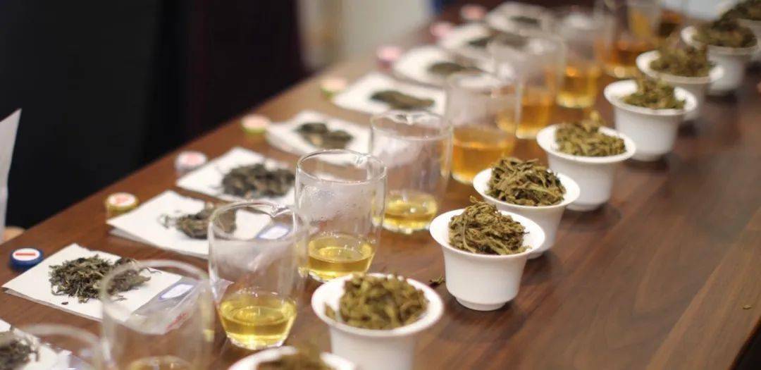 白云山上有茶香|五一黄金周:百席邀客叹茶来