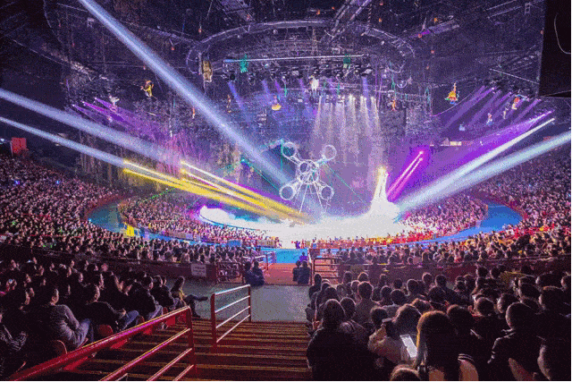 跳火圈,打坐,过桥