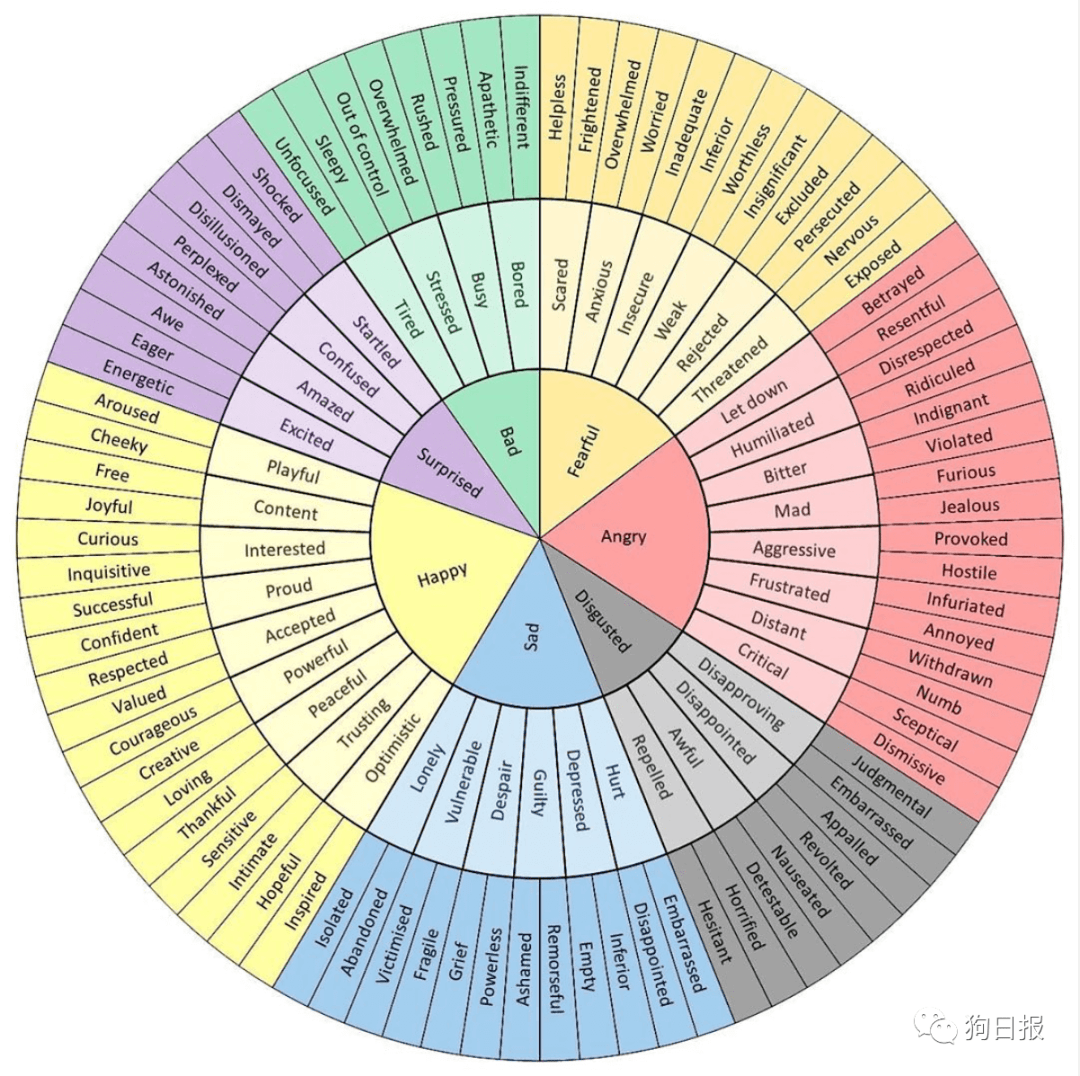 有兴趣的狗友可以把这个传说中的"情绪轮"打印下来,时不时盘一下,管