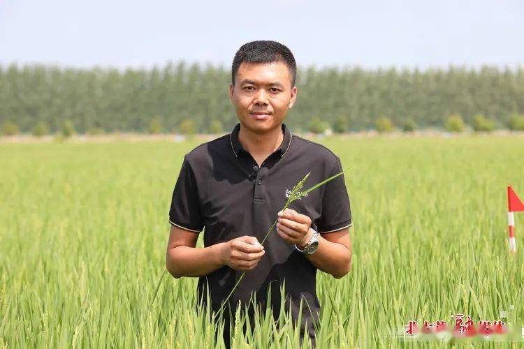 劳动者风采 李晓辉:黑土地的耕耘者