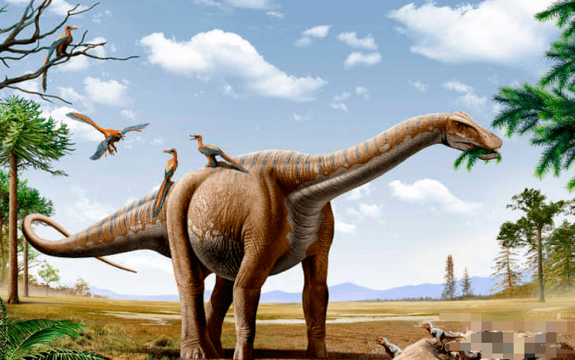云南这个地方发现一种植食性恐龙化石!体长1.7米,年龄