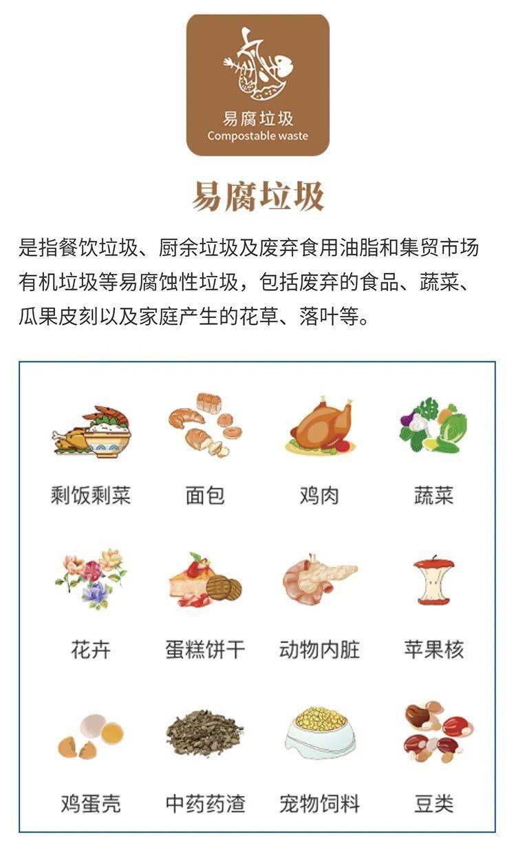 二,易腐/厨余垃圾