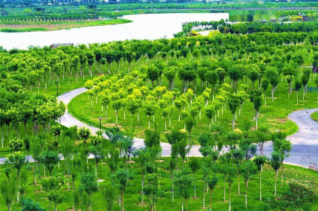 "一轴两廊"打造天津津南绿色生态屏障
