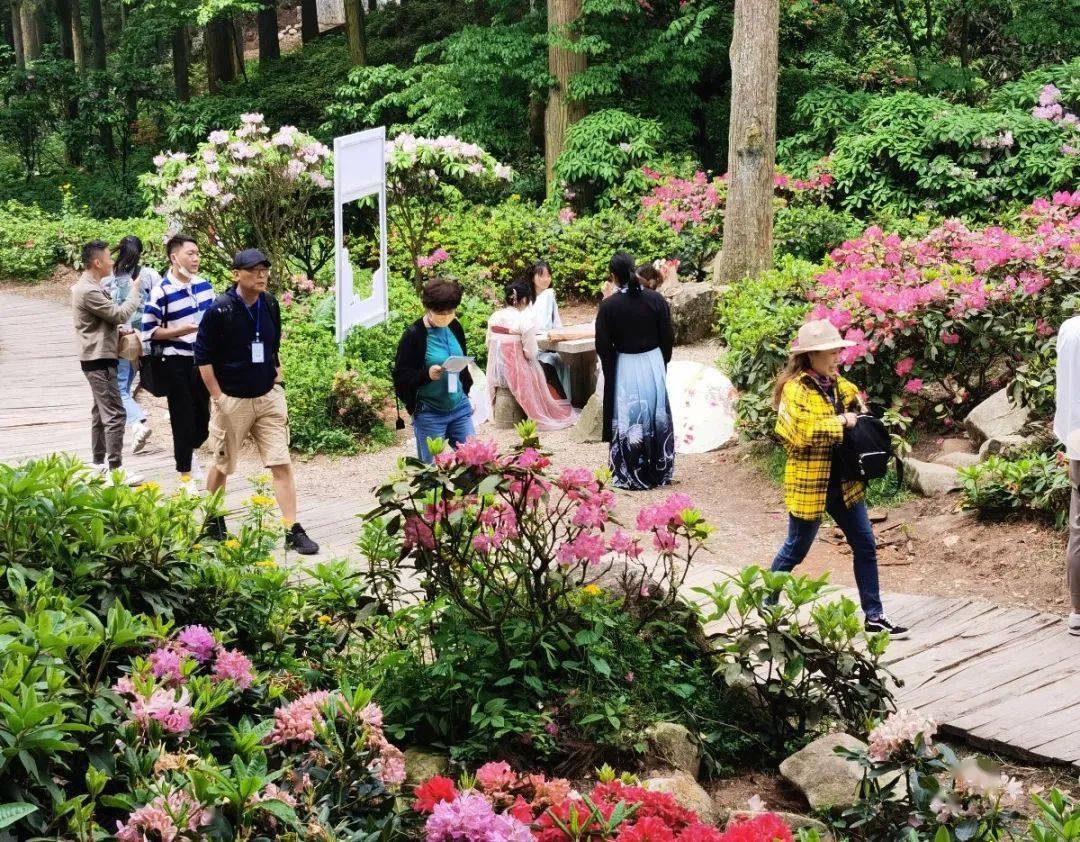 寻着诗路游天台" 2021浙江森林旅游节·第24届天台山云锦杜鹃节暨