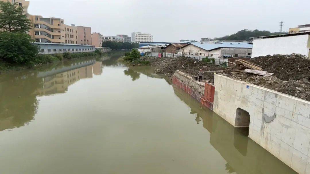 周边村庄告别水浸!新塘镇久裕水闸重建工程基本完工