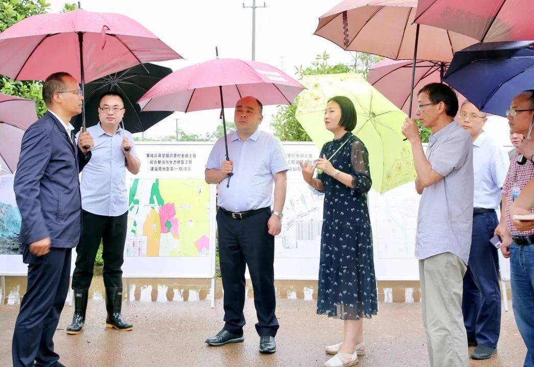 黄国钧在调研全域土地综合整治与生态修复工作时强调攻坚克难加快进度