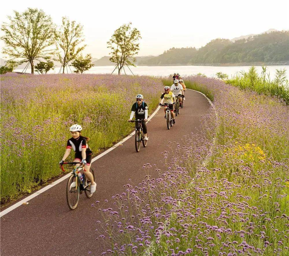 城管文化到千岛湖骑行一路美景任你看