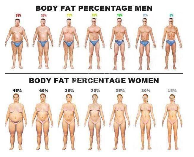 体脂率是指人体内脂肪重量在人体总体重中所占的比例,又称体脂百分数