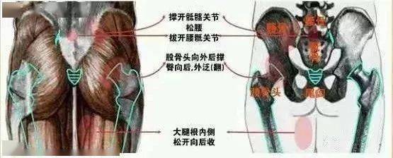 为什么练太极非要活肩开胯?揭密"开"字诀!