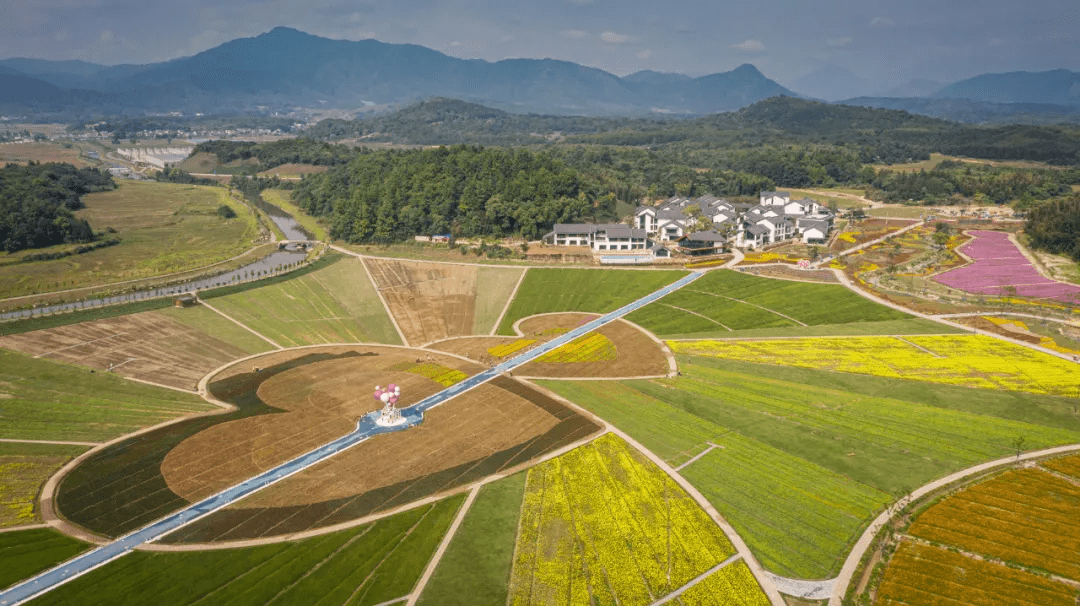 探营旅发会高岭中国村唐风茶韵展新姿