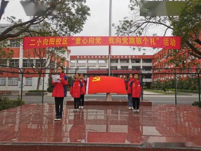 少年"——建湖县第二实验学校向阳校区组织开展"我向党旗敬个礼"活动