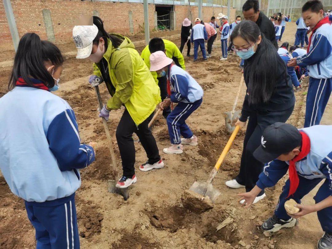 【校园风采】西宁市总寨镇逸夫小学:打造红色引擎 擦亮党建品牌 淬炼