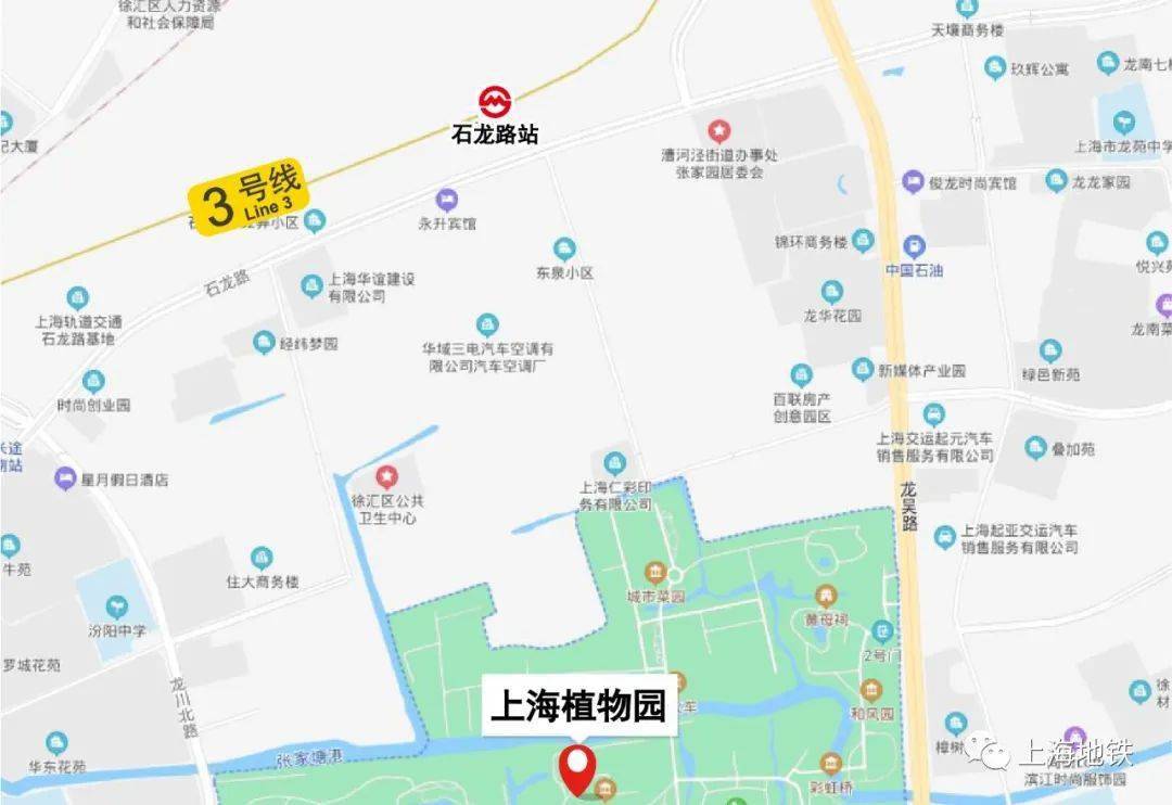 上海植物园特别设置了浓香月季展示区,上海植物园地铁:9号线洞泾站