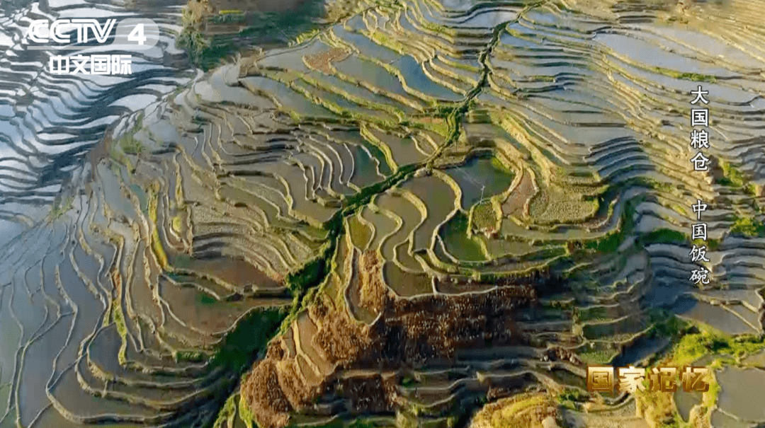 纪录片《大国粮仓》第一集——《中国饭碗》