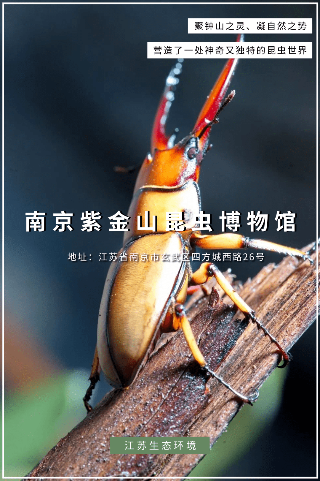 南京紫金山昆虫博物馆