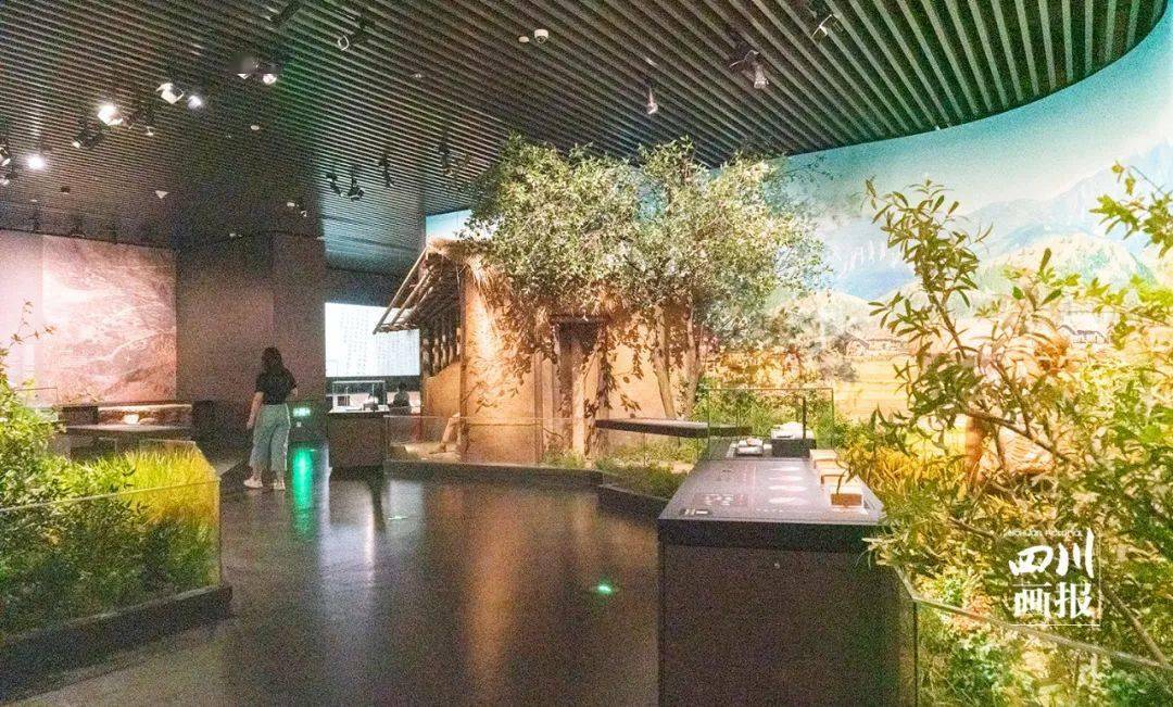 四川博物院最新改造完成的"远古四川——史前时期的四川"常设展览也