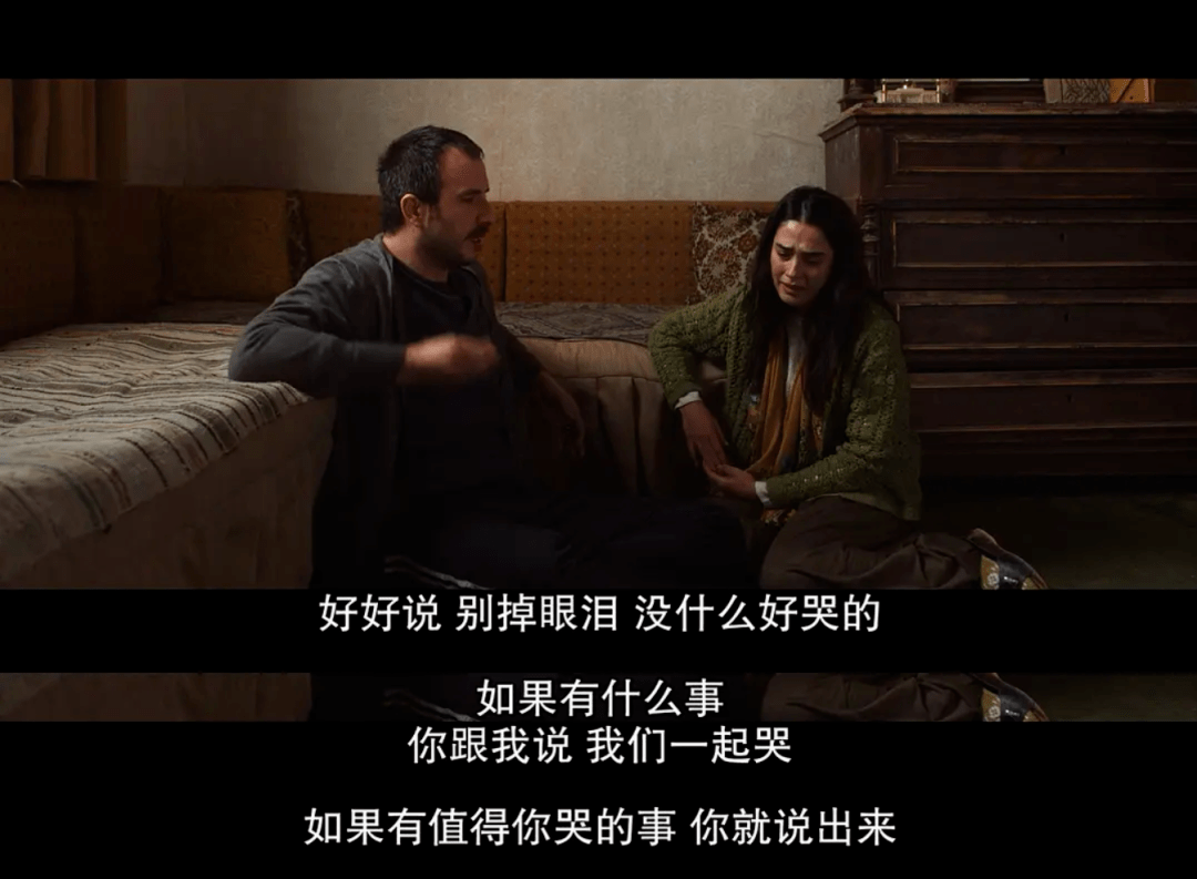 最近怎么可能剧荒?