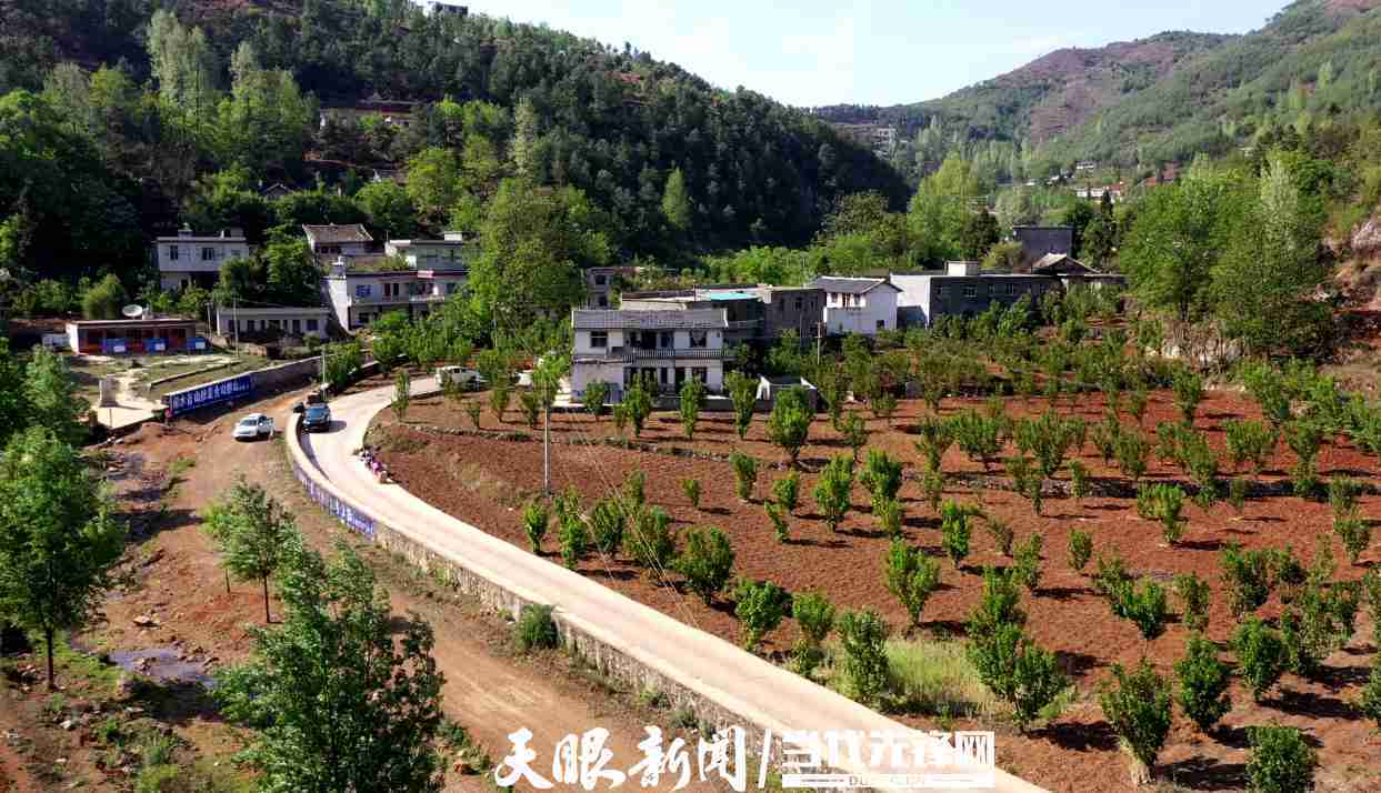 威宁自治县盐仓镇营洞村种好满山绿护住乌江源