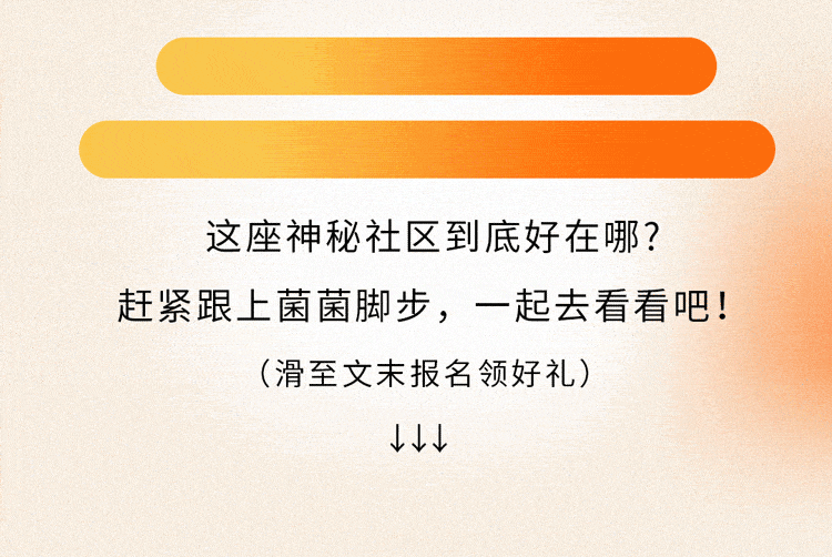1478万魔都人都在寻找的