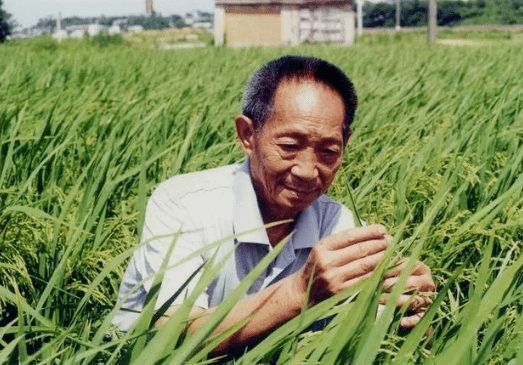 袁隆平先生手迹:谁知盘中餐,粒粒皆辛苦