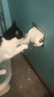 查看北京市科学技术协会新媒体传播体系点个在看你最好看返回搜狐