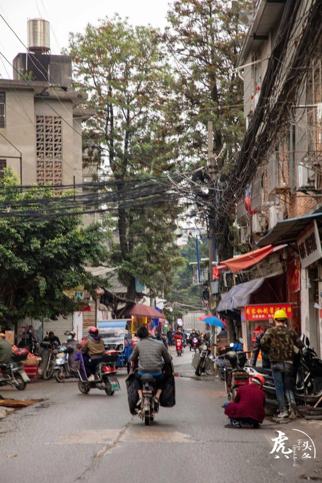 下一站高湖村