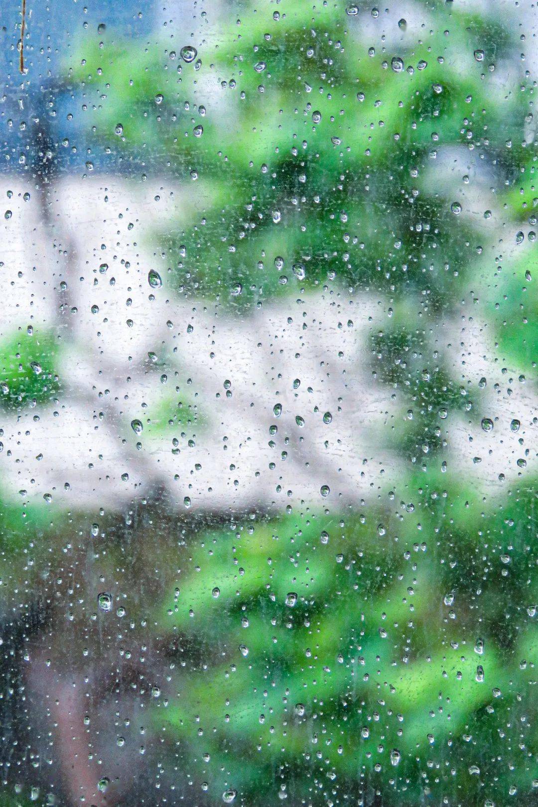 雨滴倏忽而至 不期而遇的 不仅是潇潇中雨 更是转角的浪漫 窗边的梧桐