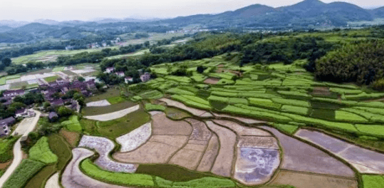 乡村旅游到庐江千年古村灵秀刘墩