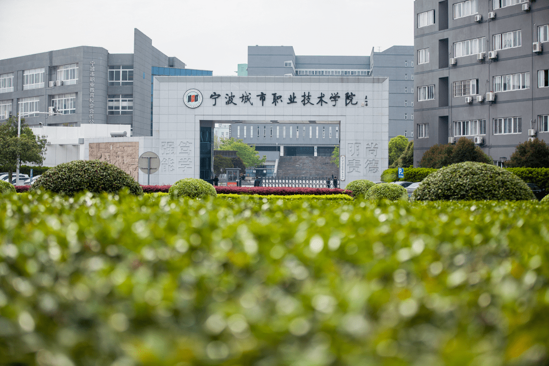 高考倒计时12天 | 宁波城市职业技术学院:欢迎报考浙江省"双高建设校"