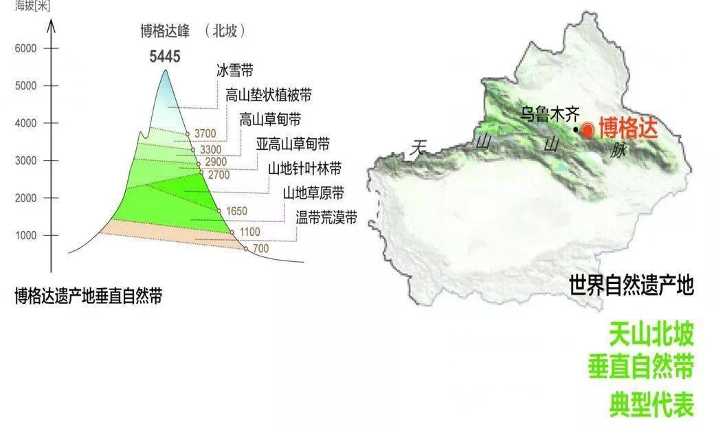 天山垂直自然带谱:南坡和北坡基带为荒漠从草原带变到森林带,再变到