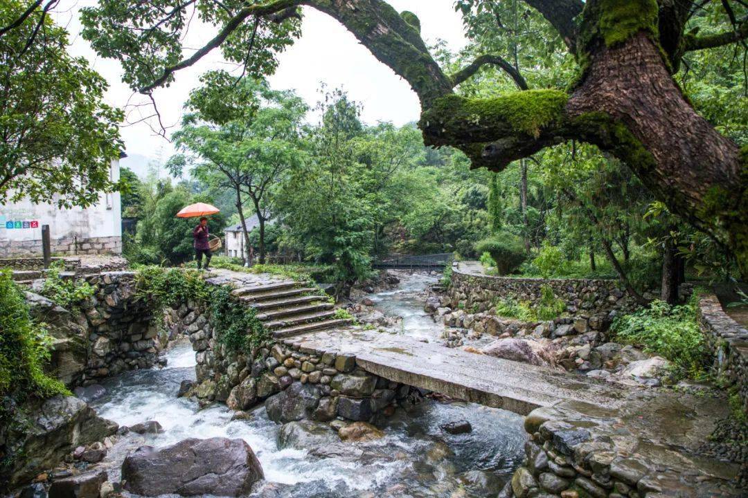 《地校联动 古村新貌 (寻找最美乡村·乌岩头村)》 聚焦黄岩乌岩头村