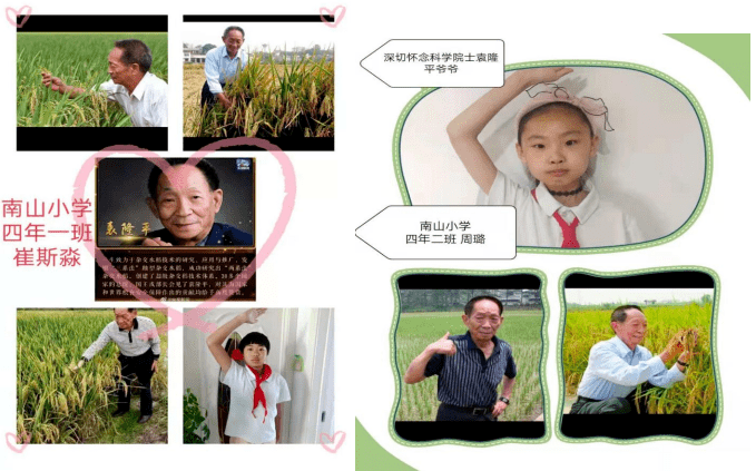 学校动态南山小学开展缅怀袁爷爷寄哀思珍惜粮食做追梦人主题活动