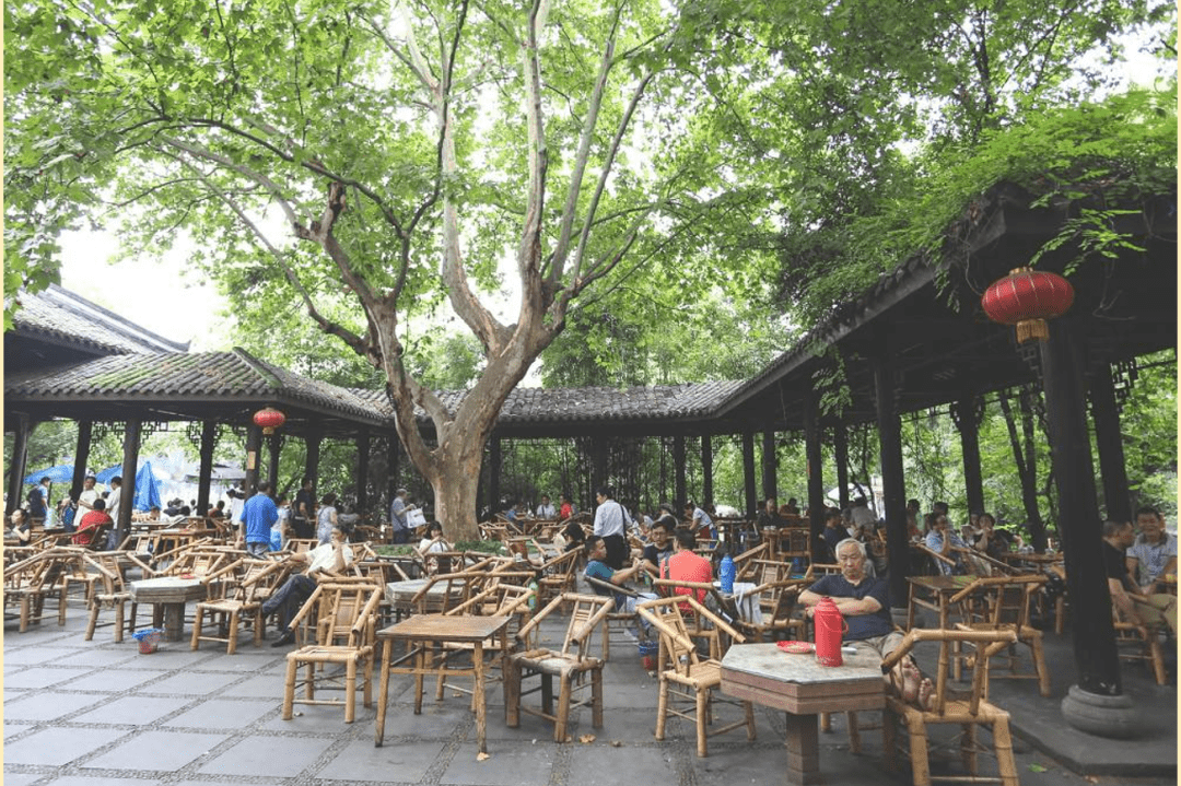 (茶马古道)—鹤鸣茶社—少城茶社—浓荫茶园—消失的茶馆(华华茶厅