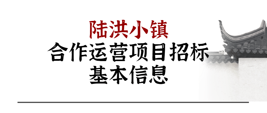 动真格陆洪小镇合作运营项目预审报名开启