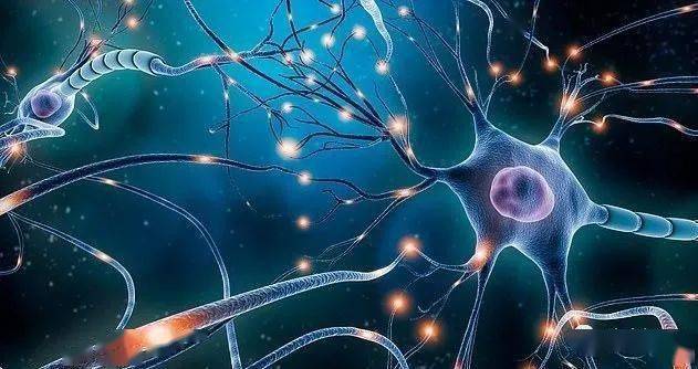 看天下最新研究人的意识是由大脑神经元的电磁场所产生的
