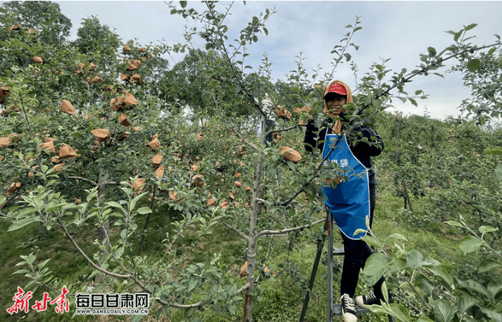 来源:新甘肃客户端出品:灵台县融媒体中心编辑:刘 杨编审:马文军监制