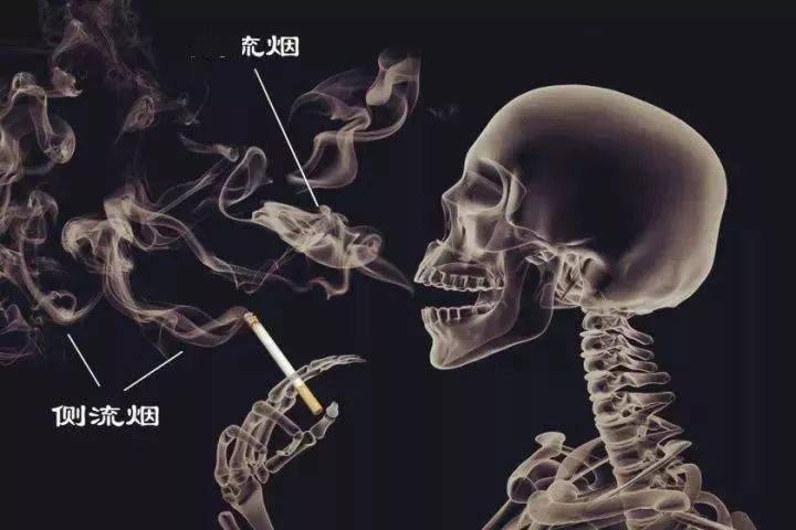 一人吸烟毁三代!抽烟的危害,比你想象的更大