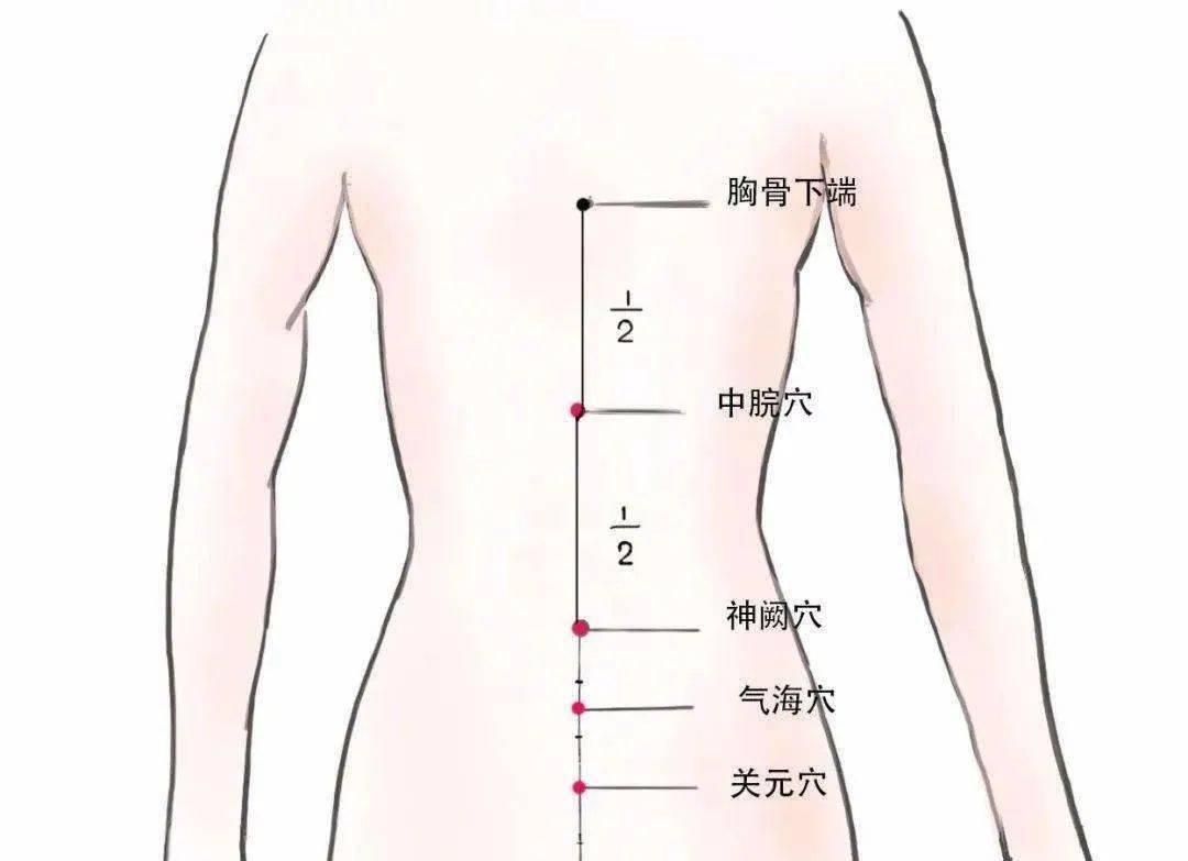 健脾养胃穴 ——中脘